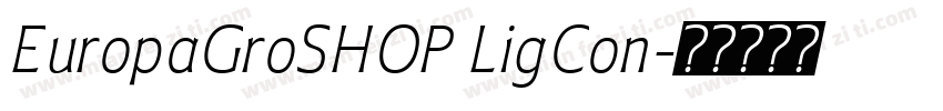 EuropaGroSHOP LigCon字体转换